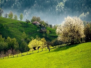 Houses, flourishing, trees, country, viewes, Mountains, woods, Slovenia, medows
