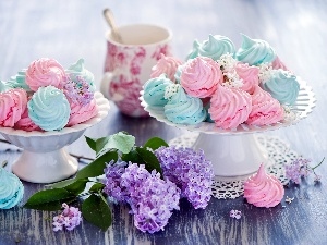 color, meringues, cookies