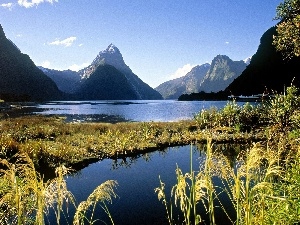 Milford, VEGETATION, lake, New Zeland, Mountains
