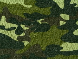 Apple, military uniform