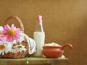 milk, Bottle, basket, Cottage cheese, daisy