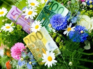 flowers, money, bouquet