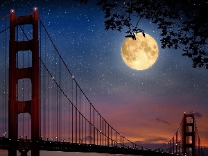 Night, moon, bridge