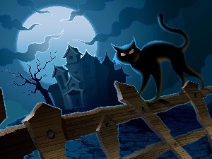 moon, Fance, house, halloween, Night, cat