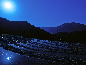 moon, Night, field, Sky, rice