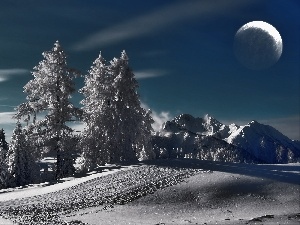 moon, trees, viewes, Night, snow, Mountains
