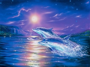 moon, water, Three, dolphins