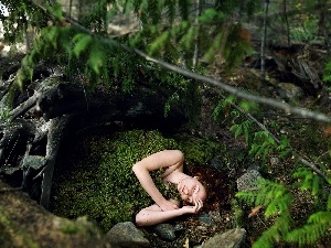 ##, the sleeping, forest, moss, Women