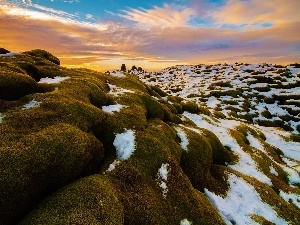 Moss, Stones, west, snow, sun