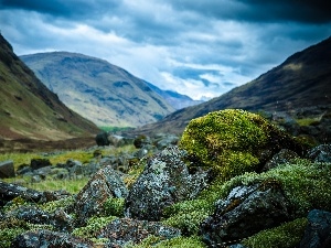Stones, Moss, Mountains