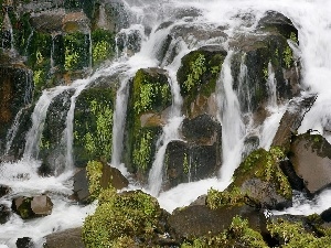 Stones, Moss, waterfall