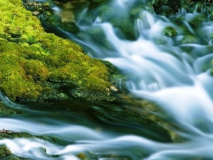VEGETATION, Moss, waterfall