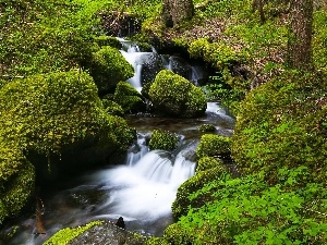 Moss, forest, Stones, River, waterfall, stream
