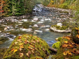 Leaf, mossy, stream, autumn, boulders, forest, stony