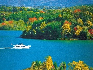 Motor boat, woods, autumn, lake