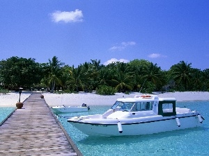 Motor boat, Platform, Beaches, Palms