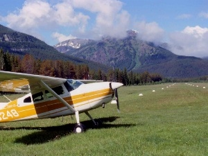 Mountains, airport, Cessna 185, grass