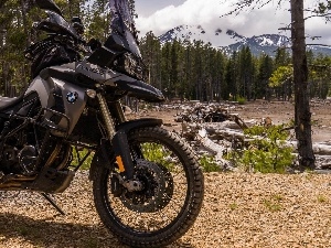Mountains, forest, BMW, F800GS