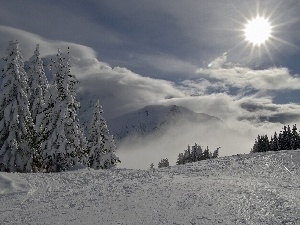 Spruces, Mountains, rays of the Sun, winter, clouds