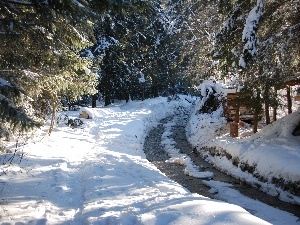 Mountains, winter, forest, stream