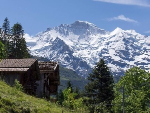 Mountains, viewes, Houses, trees