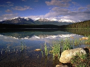 Mountains, Snowy, lake, woods