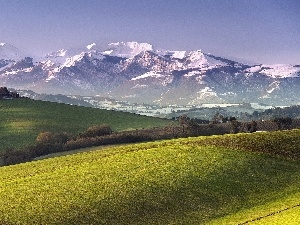 Mountains, Meadow