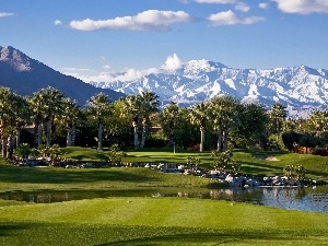 Palms, Mountains, Garden