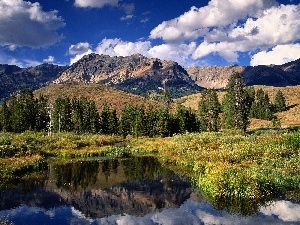 Mountains, viewes, pool, trees