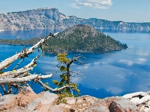 Lod on the beach, viewes, trees, lake, broken, Island, Mountains