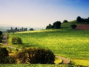 Mountains, field, Way, medows