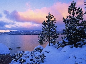 Mountains, viewes, lake, winter, trees