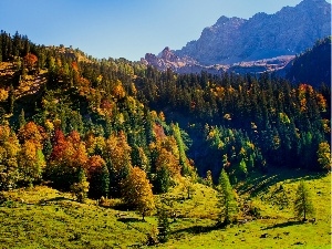 Mountains, Karwendel, autumn, Austria, woods, Tirol