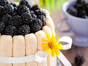 mug, blackberries
