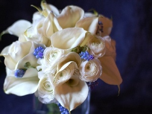 roses, Muscari, Calla