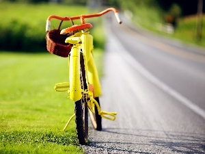 Mushrooming, basket, Bike, Way