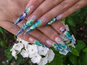Nails, color, Women, Flowers, hands