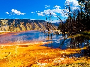 Canada, National Park, viewes, lake, Montana, Mountains, trees