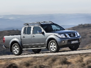 Nissan Navara, Gray