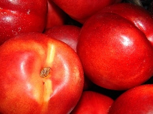 nectarines