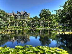 Nenufary, Pond - car, Castle, Garden