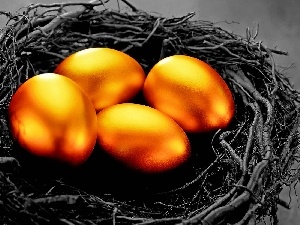 eggs, nest, Golden