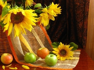Nice sunflowers, apples, basket