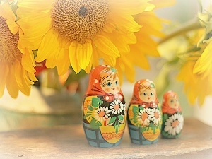 babushka, Nice sunflowers