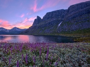 Norway, Mountains, Meadow, lake