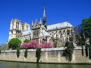 France, Paris, chair, Notre Dame