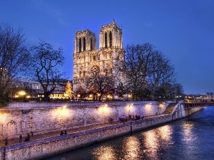 Paris, Notre Dame, France, chair