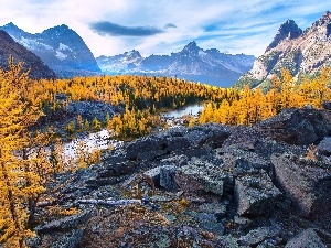 Ohara, Stones, lake, Mountains, Canada, forest