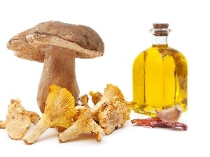 forester, oil, mushrooms