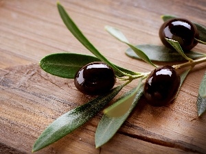 twig, olives, slat